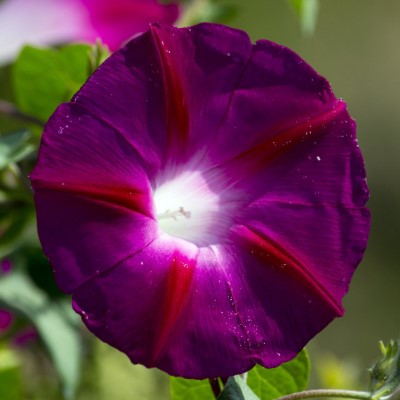 1920 x 1080 HD Wallpapers 3540